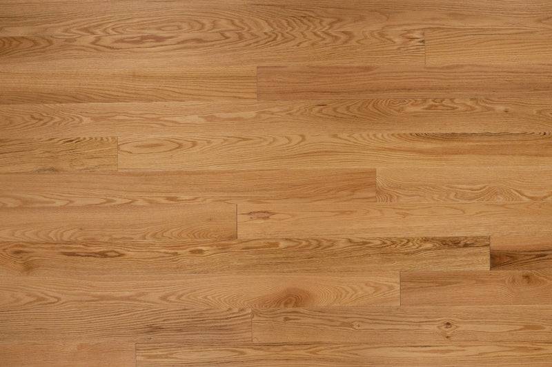 Magnolia Red Oak