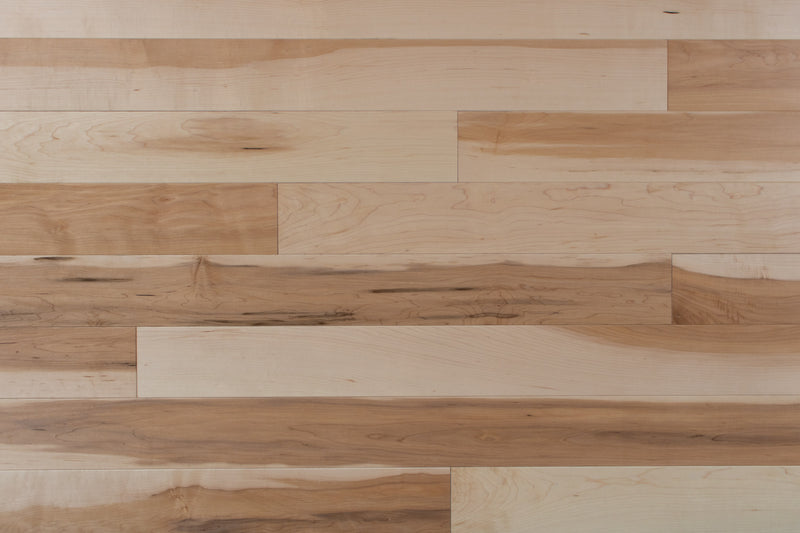 Ashland Maple
