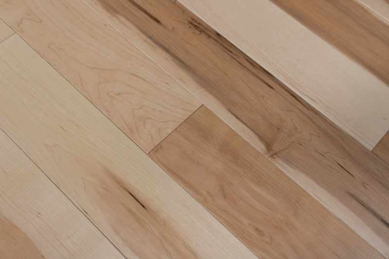 Ashland Maple