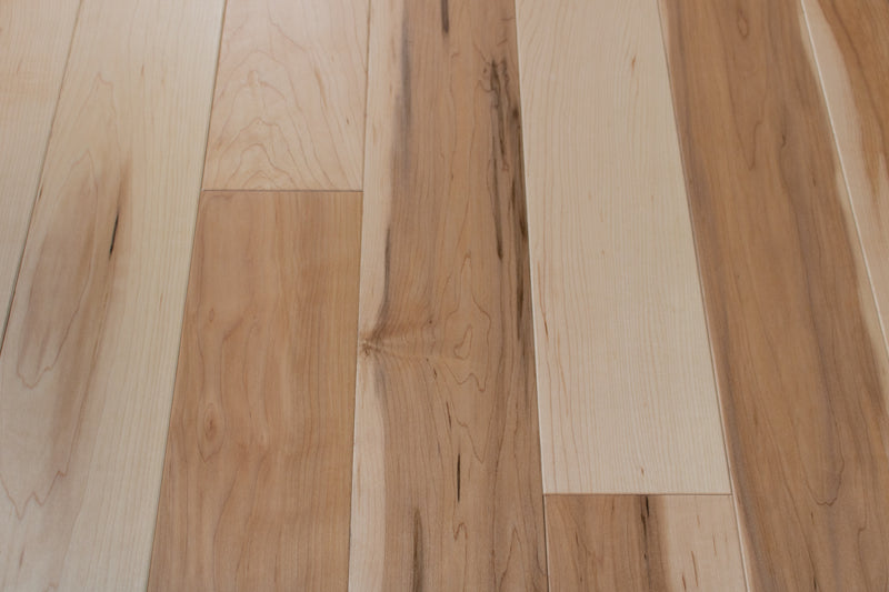 Ashland Maple